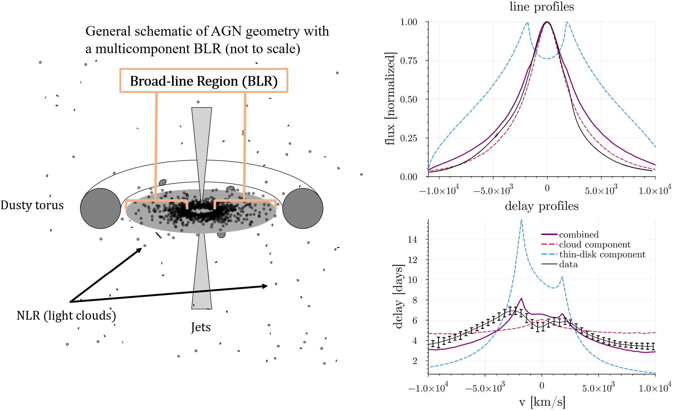 A new multicomponent model of the BLR